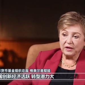 视频丨国际人士表示中国经济高质量发展彰显经济强劲韧性