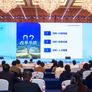 望城经开区“信用+”模式亮相国家级论坛，荣获全国优秀案例 ...