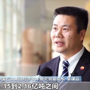 视频丨2030年我国天然气产量将达3000亿立方米