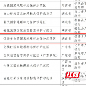 保靖黄金茶跻身“国家队”！湘西首个国家地理标志保护示范区获批 ...