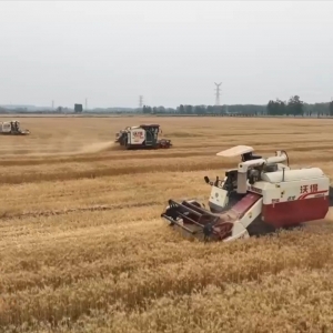 “十四五”期间我国新建改造提升高标准农田4.6亿亩