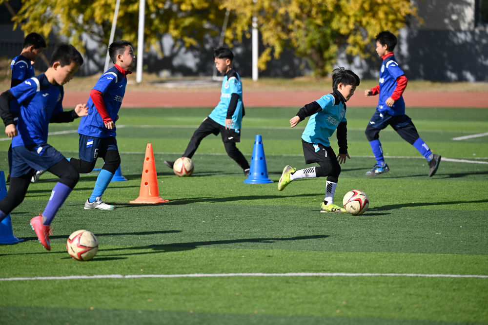 2025教育“热词”盘点