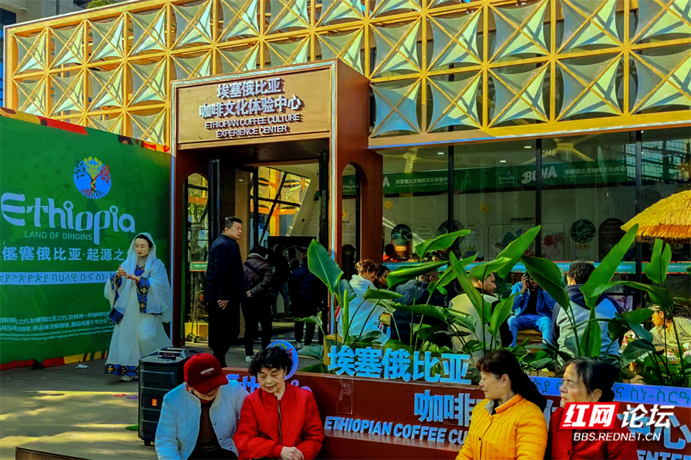 来自咖啡故乡的手，握住制造名城的晨光