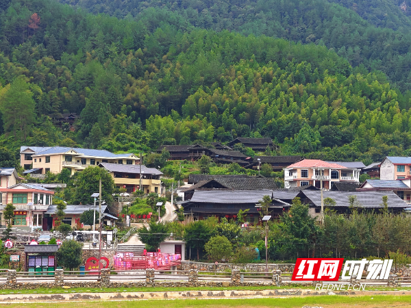 苗乡侗寨振兴长卷映初心——绥宁县长铺子苗族侗族乡走出全域融合发展新路径 ...