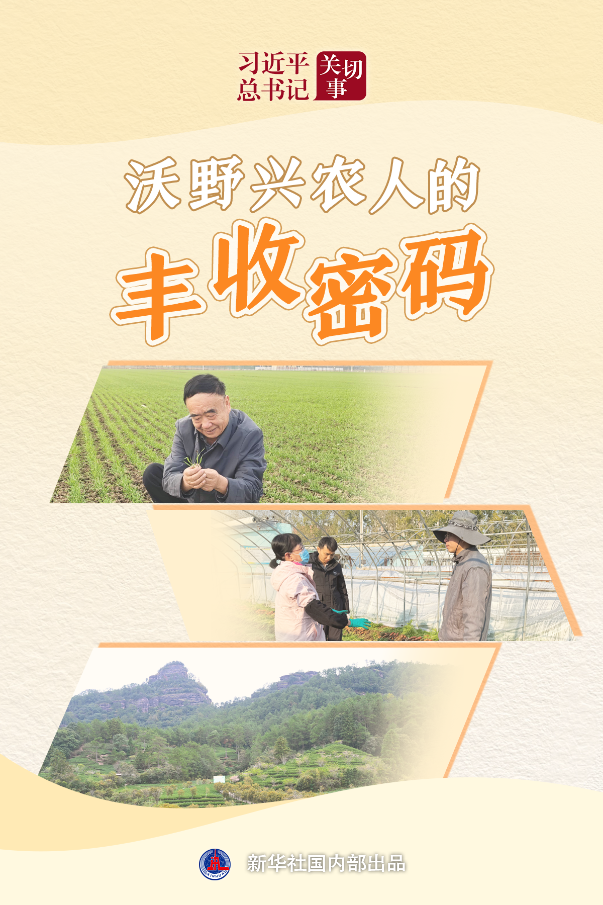 习近平总书记关切事·嘱托丨沃野兴农人的丰收密码