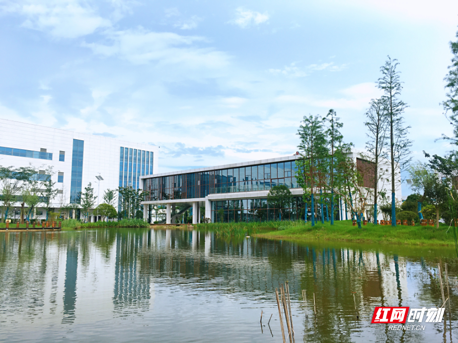 望城经开区 5_副本.jpg